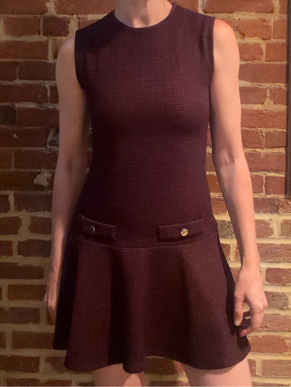 Zara Sleeveless Mini Dress in Deep Plum NWT